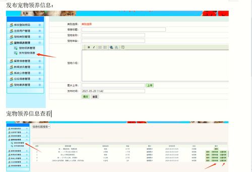 精品畢設 java javaweb寵物領養平臺管理系統完整源碼